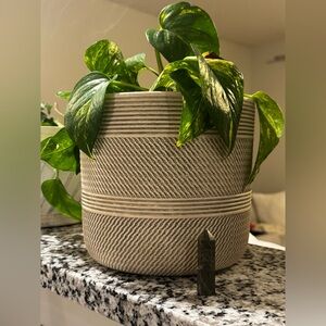 Pyrite in Serpentine Tower